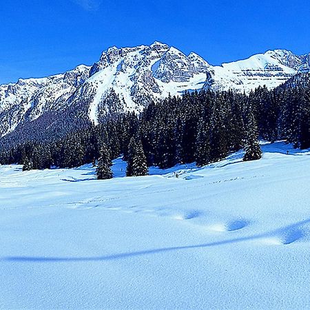 Apartamento Campiglio Bilocale Monte Spinale Madonna Habitación foto